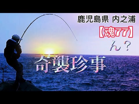 46 割引新作 釣り フィッシング 磯釣り 手作りウキtomita Kouiti様専用出品 その他 フィッシング Www Fidakenya Org 46 割引新作 釣り フィッシング 磯釣り 手作りウキtomita Kouiti様専用出品 その他 フィッシング Www Fidakenya Org