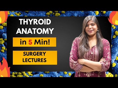 Surgical anatomy of Thyroid | Arterial venous nerve supply | Surgery Lecture and Notes
