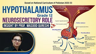 Hypothalamus: Neurosecretory Role | Grade 12 Biology | 2026