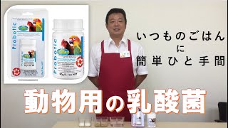 【こんぱまるTV】ベタファーム社 プロボティックってどんなサプリメント？