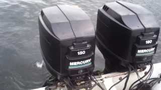 Stamas 255 Family Fisherman Mercury BlackMax 150's