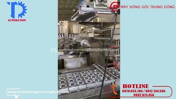 Máy chiết rót thạch và dán miệng cốc thạch hiện đại