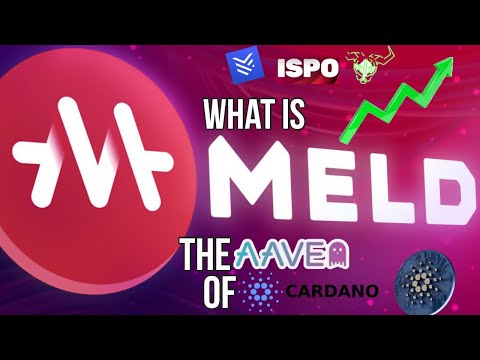 MELD란 무엇입니까? Cardano 블록체인에서 DeFi 뱅킹의 미래 | MELD ISPO 참여 방법