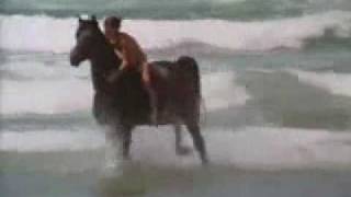 The Black Stallion - Learning to Ride The Black