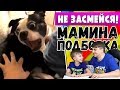 НЕ ЗАСМЕЙСЯ ЧЕЛЛЕНДЖ | Мамина подборка 11 | Смотрим смешное видео!