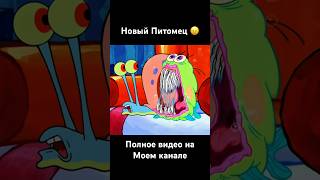 НОВЫЙ ПИТОМЕЦ 😰 #губкабобквадратныештаны #губкабоб #shorts #spongebob #viral #спанчбоб