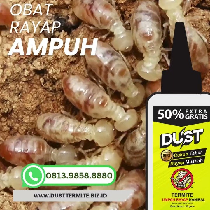 Daftar Harga Terbaru Dari Obat Rayap Paling Ampuh Tahun Ini