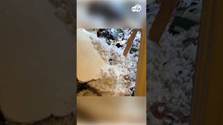 Tree crashes into Montgomery County bedroom minutes after resident was inside