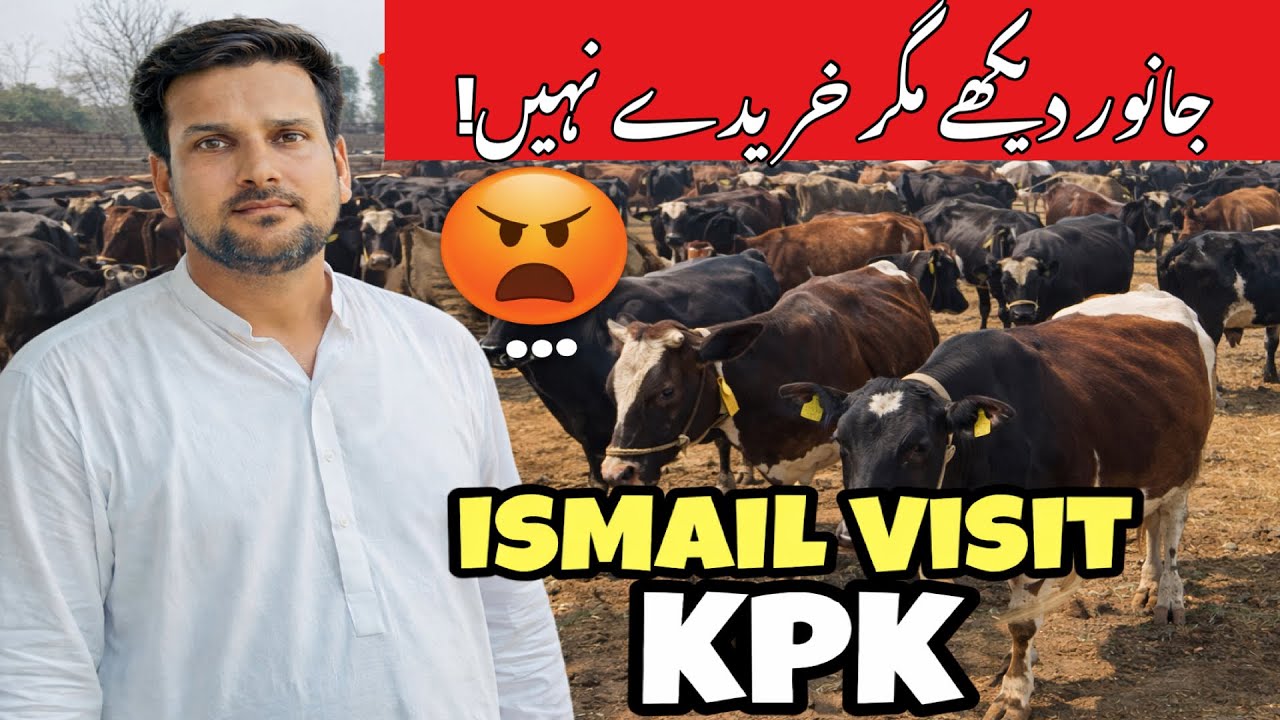 Today Ismail Jutt Visit Kpk