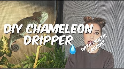 DIY CHAMELEON DRIPPER! (with Curtis Lasane)
