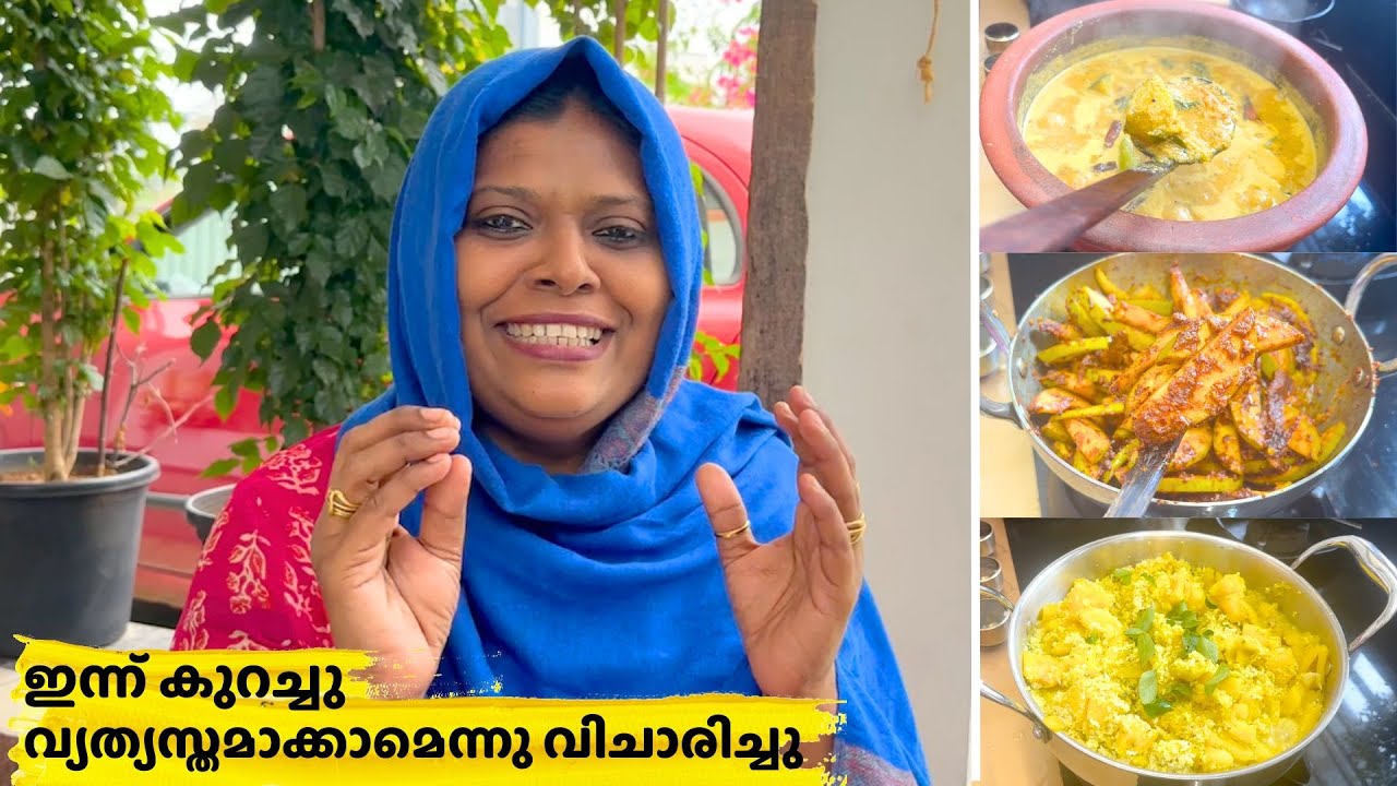 ഇന്ന് കുറച്ചു വ്യത്യസ്തമാക്കാമെന്നു വിചാരിച്ചു | Variety  lunch recipes | Salu Kitchen