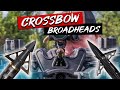 The Best Broadheads For Crossbow Hunting