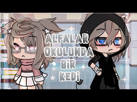 [꩜ Alfalar okulunda bir kedi ୨ৎ] Gacha life Türkçe ִ ࣪𖤐 GLMM || @starx0.1