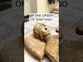 history piece   The Effigy of Don Garcia De Osorio 🗡️#effigy #history #knight #knight