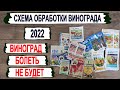 🍇 Виноград болеть не будет. Рабочая СХЕМА ОБРАБОТКИ от основных болезней из ДОСТУПНЫХ ПРЕПАРАТОВ.