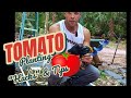 Tomato Planting quicker, easier, and more effectively