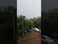 Дождяра17.06.25