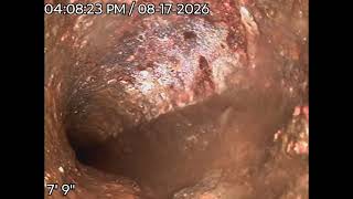 1773 E 96th Dr Thornton CO pre-cleaning scope