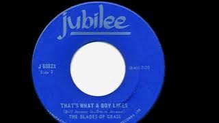 The Blades Of Grass – That's What A Boy Likes 1967 [Jeffrey Glenn's  lost Jukebox Volume 103]