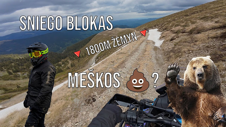 ŽINGSNIS IKI MIRTIES, MEŠKOS? | Rumunija 4 dalis