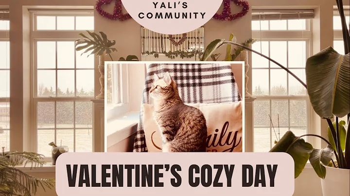 Hygge/Cozy Video. Snowflakes, Rain, Cats & Plants.