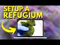 3 Benefits Of Having A Refugium For Your Reef Tank 3 Benefits Of Having A Refugium For Your Reef Tank