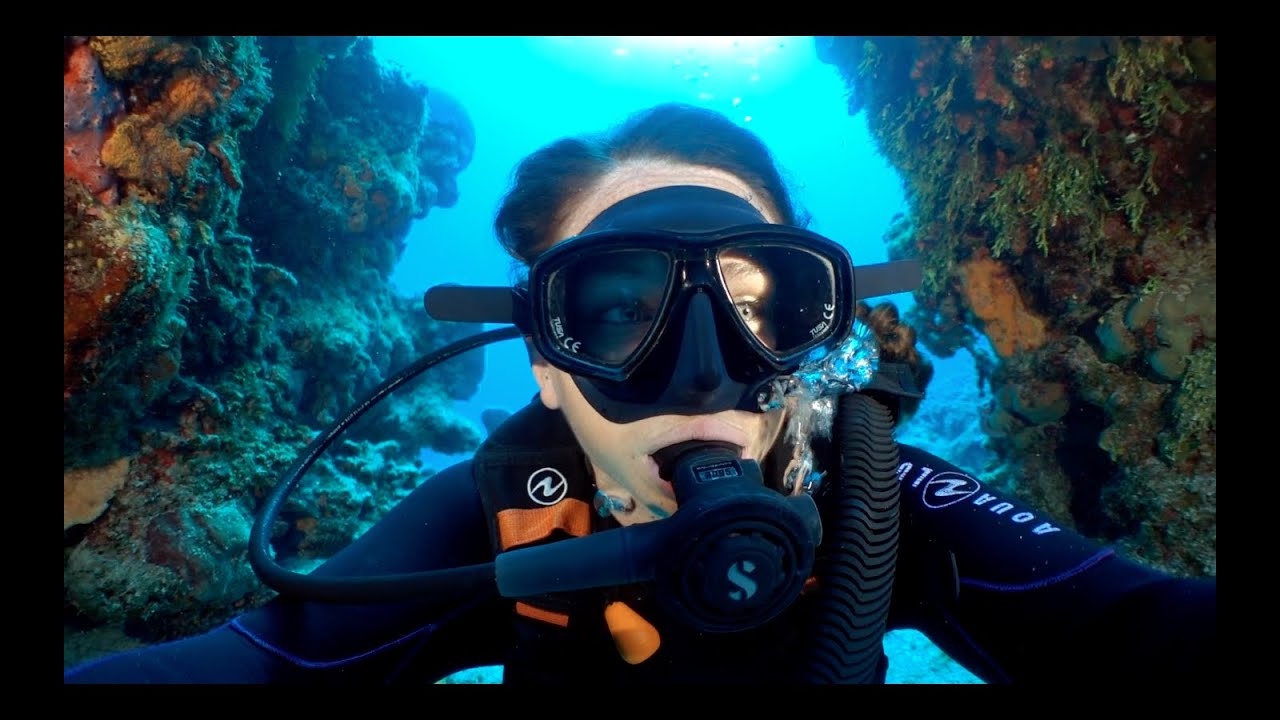 Premium Dive Shop in Cozumel Scuba Life Cozumel Cozumel Diving and