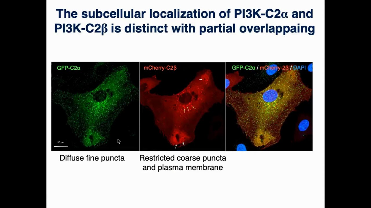 Advancing Biomedical Science