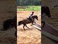 bareback lesson!| #sunnysideup #horse #equestrian