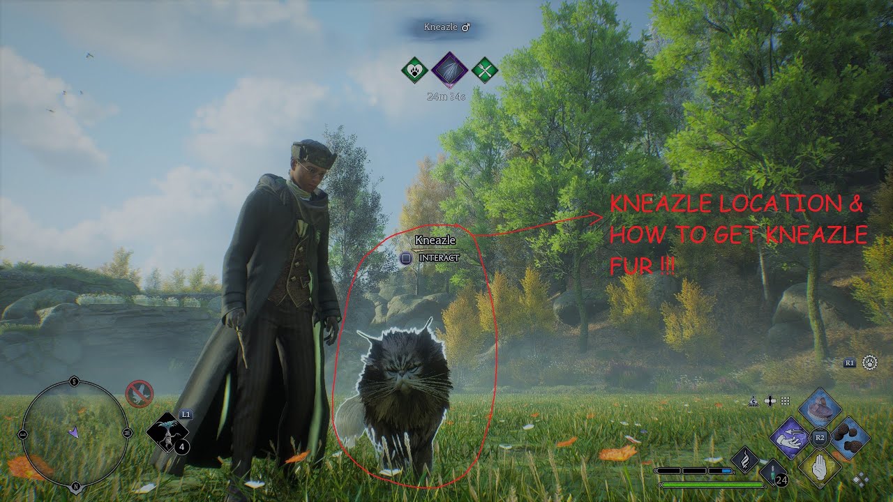 KNEAZLE LOCATION AND HOW TO GET KNEAZLE FUR (HOGWARTS LEGACY)