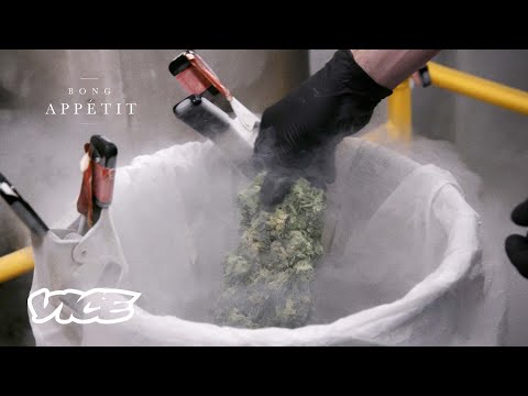 I Freeze Weed With Liquid Nitrogen for a Living