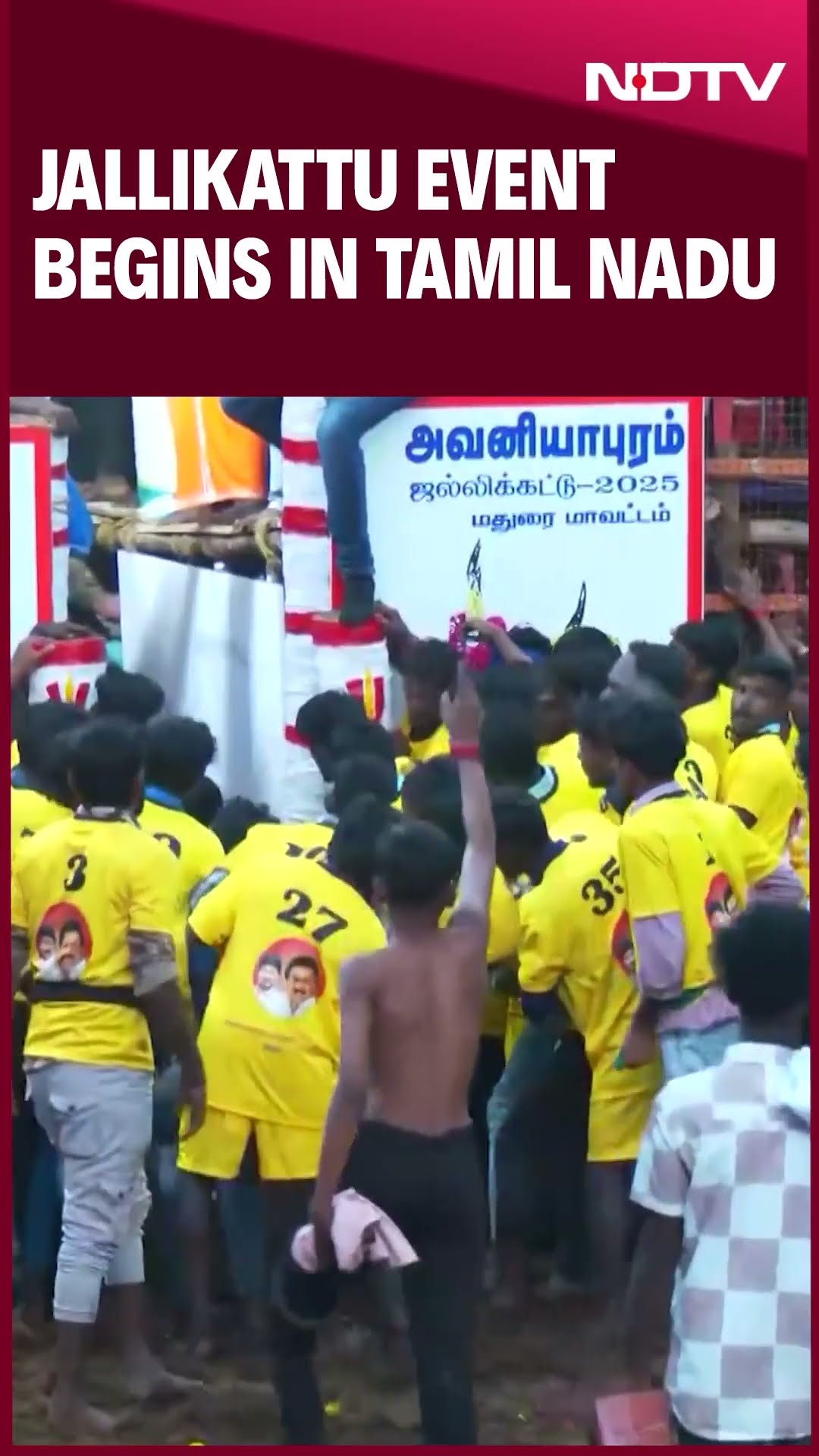 Jallikattu 2025 | 1,100 Bulls In Fray: Jallikattu Event Begins In Tamil Nadu's Madurai
