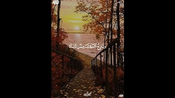 سورة آل عمران القارئ #ياسر_الدوسري ‎@islam_sobhi ‎@Sonic_islamic #فلسطين#السعودية#المغرب#مصر#الجزائر
