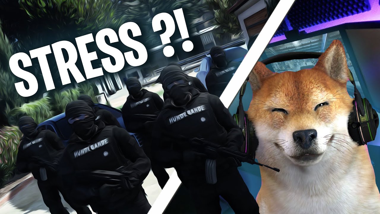 STRESS ZWISCHEN 107 UND KARTELL !? ⚔️ - GTA 5 Real Life Online