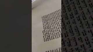 we just completed the very last letter of the Torah scroll! #torah #mazeltov