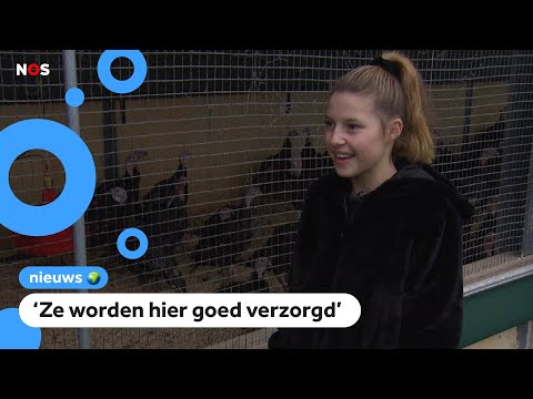 Video: Chupacabra Begon Het Bloed Van Kalkoenen Te Drinken - Alternatieve Mening