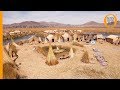 Uros Islands on Lake Titicaca: life on a floating island for Peruvian Indians