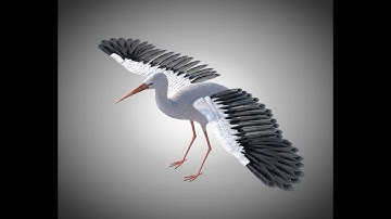 3D Model Stork Bird PBR Rigged Low poly at 3DExport.com
