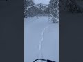 Проверка капканов