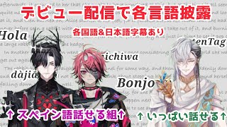 [日本語字幕]Avallum デビュー配信で披露された各国語を翻訳してみた[Avallum切り抜き]