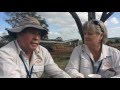 Marty and connie share their sandalwood story