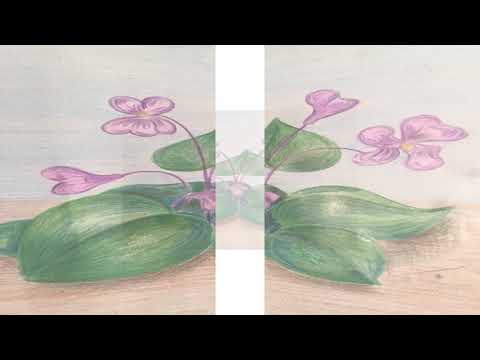 «საყვარელი მწერლის შემოქმედებით სახელოსნოში»