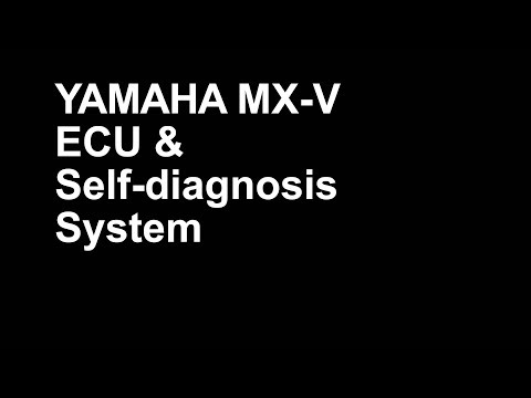 ECU & Self-diag System