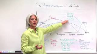 15 The Project Management Life Cycle