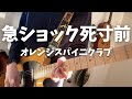 オレンジスパイニクラブ - 急ショック死寸前 (ギター & ベースカバー)