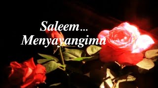 Saleem - Menyayangimu (Lirik)