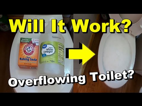 Video: Poți repara un sifon de toaletă?