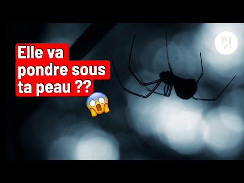 Vidéo: Les anémones peuvent-elles piquer les humains ?