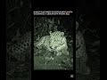 momento que queda grabado en camaras. VIDA SILVESTRE #shortvideo #animals #viral #shorts