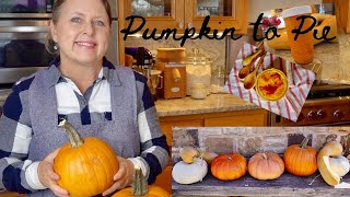 HOW TO COOK A FRESH PUMPKIN FOR PIE (THE EASY WAY)